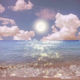 Luna鱼