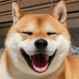 愿你看到