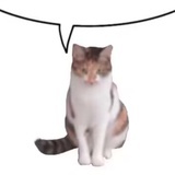 碳酸饮料事如神