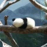 唧唧歪歪