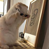 早点睡觉