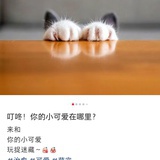 那片海