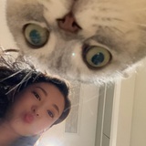 妈妈的俊崽灰灰