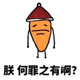 柚氏诺丽果