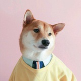 学术搬运工
