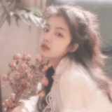 慵懒小猫咪