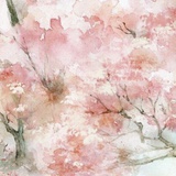 山无陵