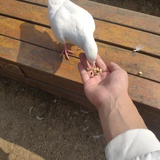 可以吧1235