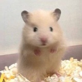 李埃文