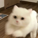 米粒