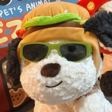 豆友6l96rz8FQs
