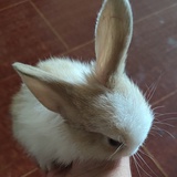 小迷糊21：57