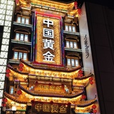精致的小灰哥