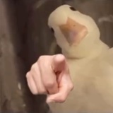 豆友krfYJpyRmk