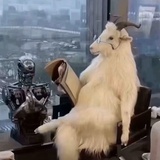 火锅乱炖咖
