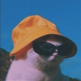 Yv