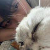 流泪猫猫头