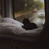 树洞读书