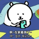 骑单车的水母鱼