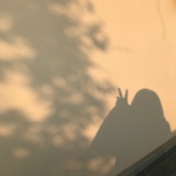 在秋天见面吧～