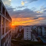 沐阳