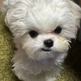 没谁不睡觉