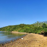 丿斜杠青年
