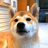奇物君的随笔