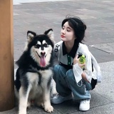 橘桉