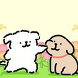 凉栀