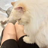 Suki！