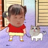 猫鱼二