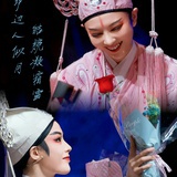 雨水清波坠无声