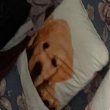豆友Ehob_nNc_M