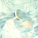 鲨里里