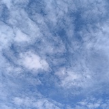 阿秋