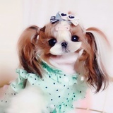 Lily宝贝