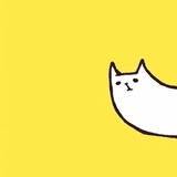 Monica球