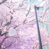 踽踽