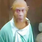 耳朵看不见
