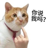 公园保安