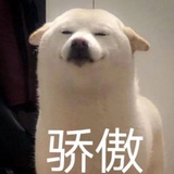 行走中的瘸子