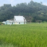 豆友qY6UexpvGM
