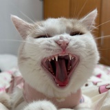豆友mwMqRpPIQw