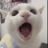 别拔我的充电器