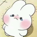 梨涡圆点