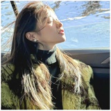 不怕冷的小海豚