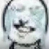 木冬柊