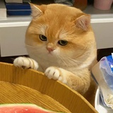 坡坡的豆瓣生活