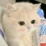 凉白开